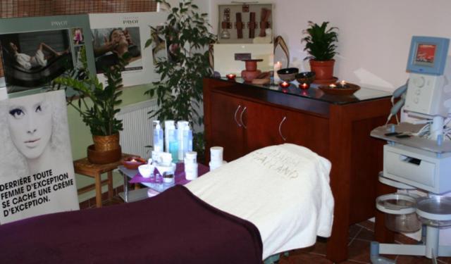 Saraya Wellness & Penzion Teplice Exterior foto
